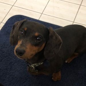 Meet your Posher, Maria